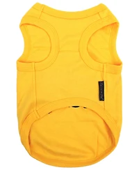 Parisian Pet Small Dog Big Heart