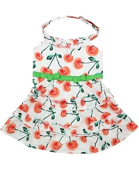 Parisian Pet Red Poppies Boho Dress