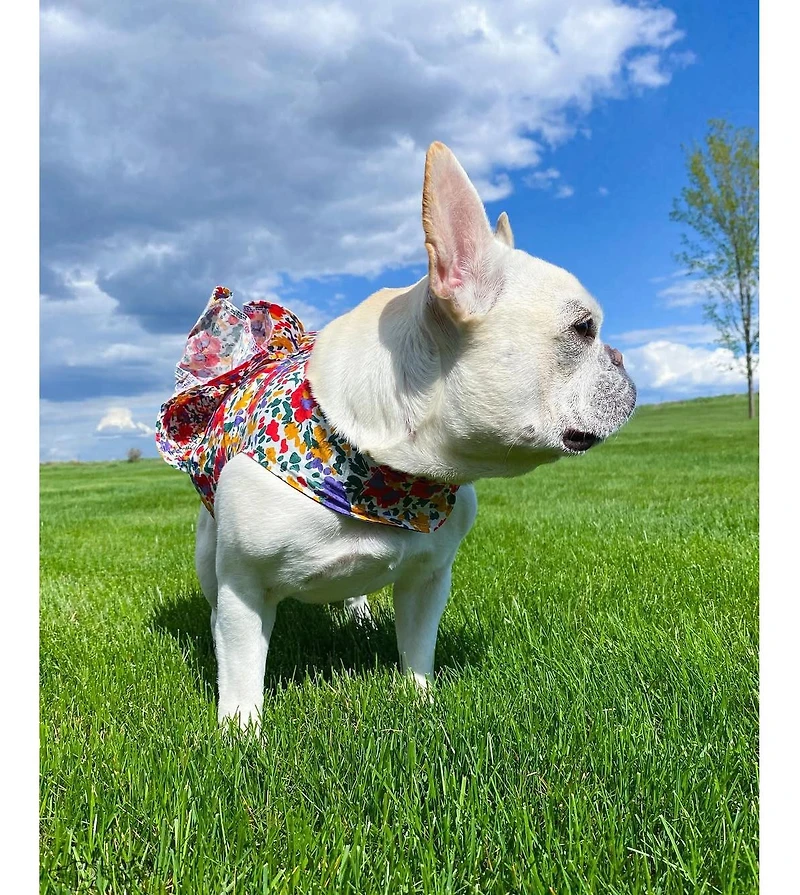 Parisian Pet Ruched Waist Floral Artsy Dress