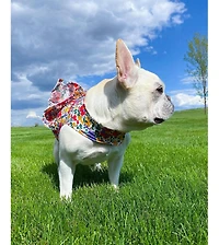 Parisian Pet Ruched Waist Floral Artsy Dress