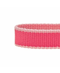 Dogs & Cats Co. Two-Tone Contrast Trimmed Dog Collar with Safety Aluminum D-Ring