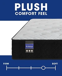 Spring Air Amelia 12" Hybrid Plush Tight Top Mattress, Queen