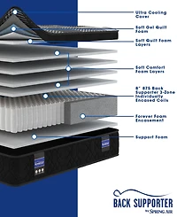 Spring Air Back Supporter Francesca 13.5" Hybrid Plush Euro Top Mattress Set, Full