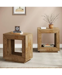 Tribesigns Rustic Wood End Table, 2 Tiered Square Side Table with Storage Shelf, Industrial Sofa Side Table for Living Room, Entrance