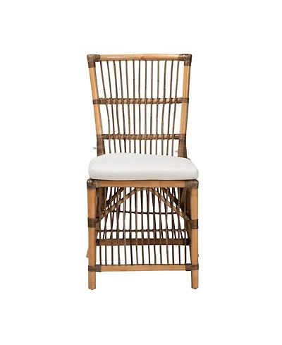 Furniture Kim 23" Rattan Bohemian Dining Chair