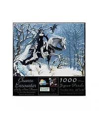 SunsOut Chance Encounter 1000 piece Jigsaw Puzzle for Adults