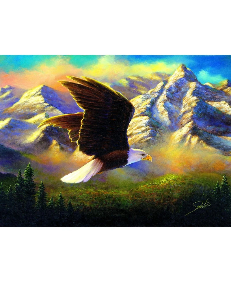 SunsOut Flying High 1000 piece Jigsaw Puzzle for Adults