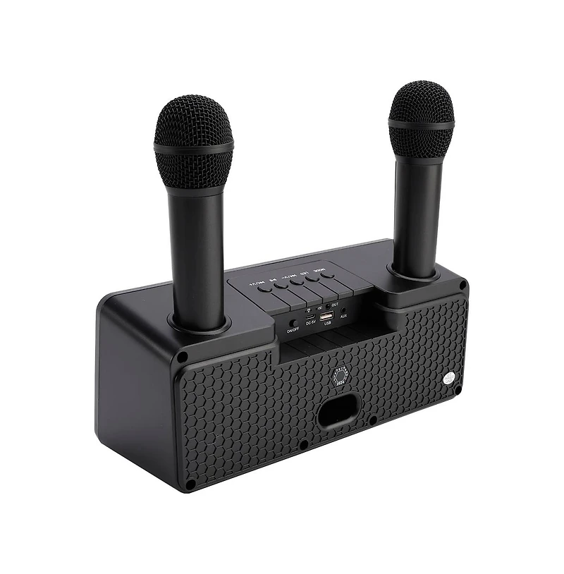 Artudatech Portable Karaoke Speaker System with 2 Wireless Mics, 20W HiFi Sound, Bluetooth & Aux for Parties and Camping