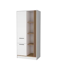 Fm Furniture Pekin Modern Wardrobe Organizer with Shelves and Rod