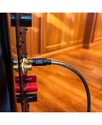 Austere V Series Subwoofer Cable