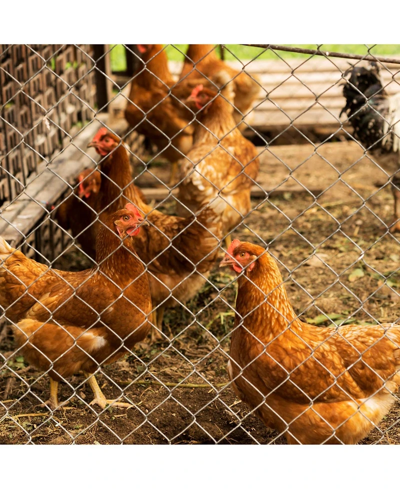 Streamdale Furniture Farm Fence 5.6ft x 57ft Galvanized Field Wire