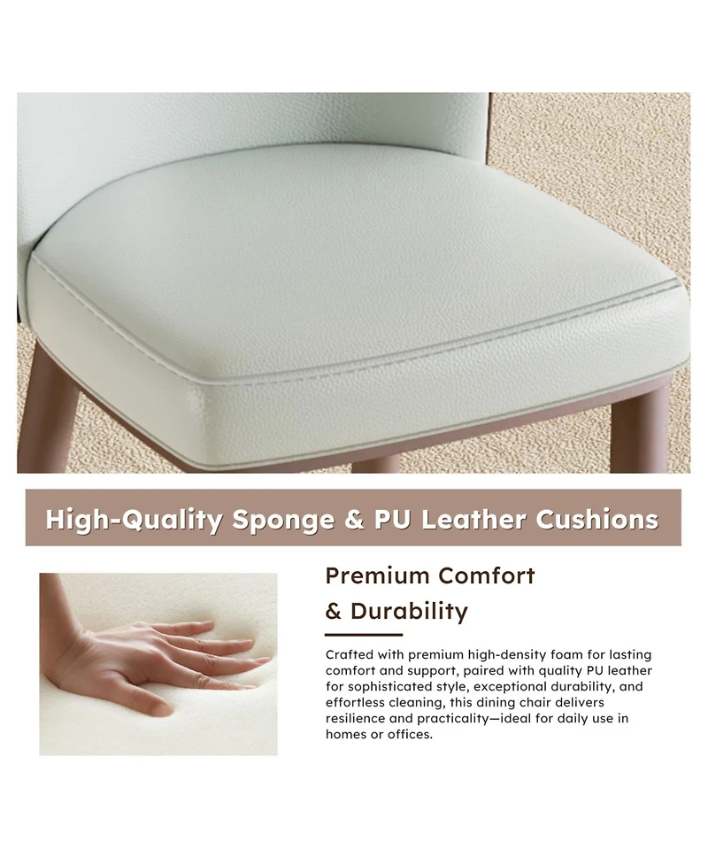 Streamdale Furniture Modern Dining Chairs, Carbon Steel Legs (Set of 2)