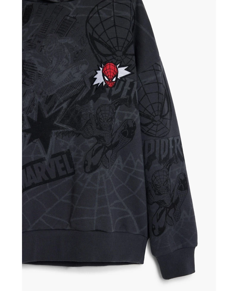 Desigual Boys Boys's Spiderman web sweatshirt