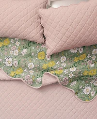 Linery & Co. Cotton Stitched Reversible Floral 3 Piece Scalloped Quilt and Sham Set