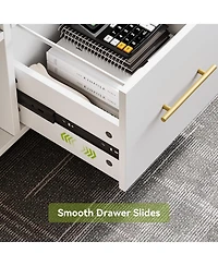 Tribesigns 39-Inch Rolling Cabinet, 2 Drawer Mobile File Cabinet with Wheels & Shelves,