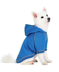 Blueberry Pet Better Basics Matching Hoodies For Dog Owner Set