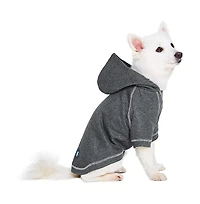 Blueberry Pet Better Basics Matching Hoodies for Dog & Owner Set