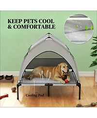 Aostirmotor Elevated Portable Dog Cot with Pad in Light Grey