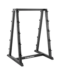 Philosophy Gym 10-Bar Fixed Barbell Weight Rack - Heavy-Duty Storage Holder for Straight & Ez Curl Pre-Weighted Bars