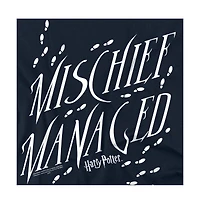 Harry Potter Men's Mischief Managed 4 T Shirt