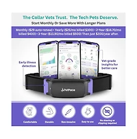 Petpace, Dogs Health Monitoring Collar, Large