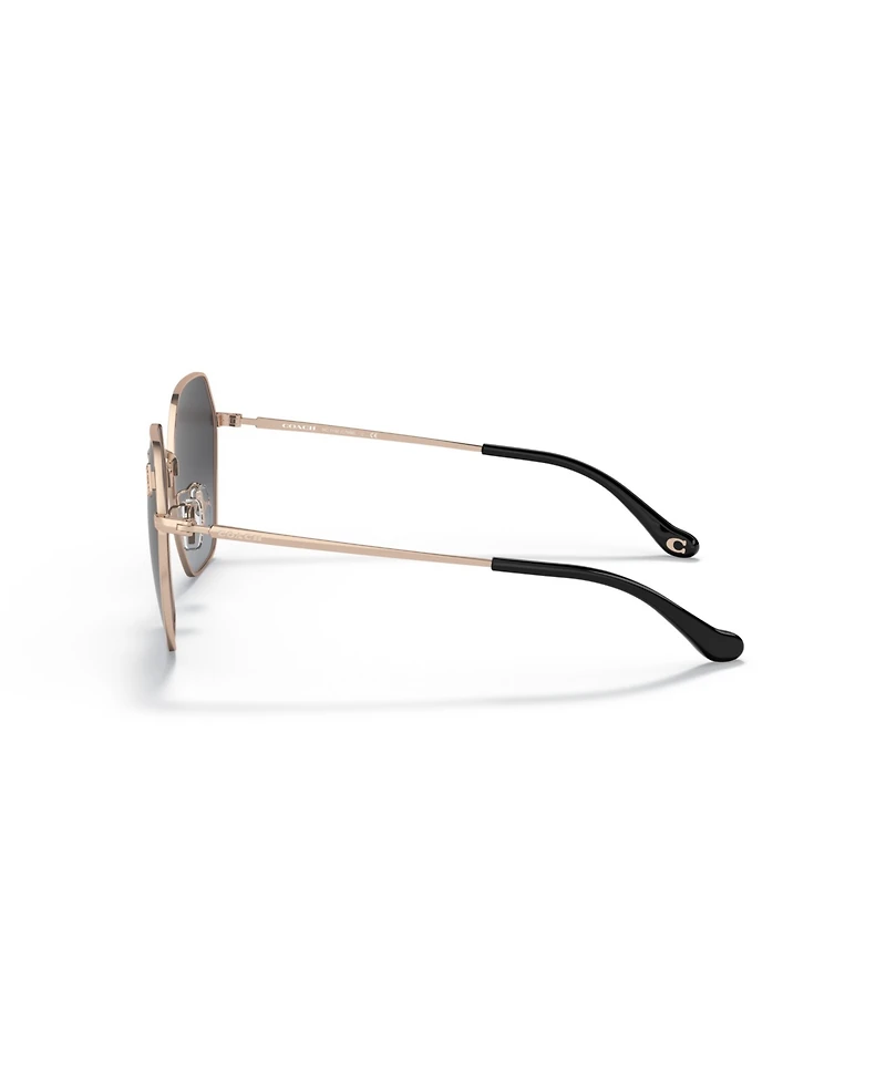 Coach Women's Geometric Sunglasses, C7998 HC7132