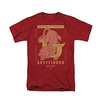 Harry Potter Men's Gryffindor Brave At Heart T Shirt
