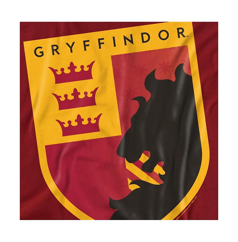 Harry Potter Men's Gryffindor Crown Shield T Shirt