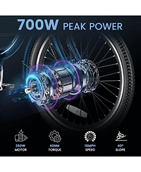 Mooncool 350W Electric Tricycle for Adults