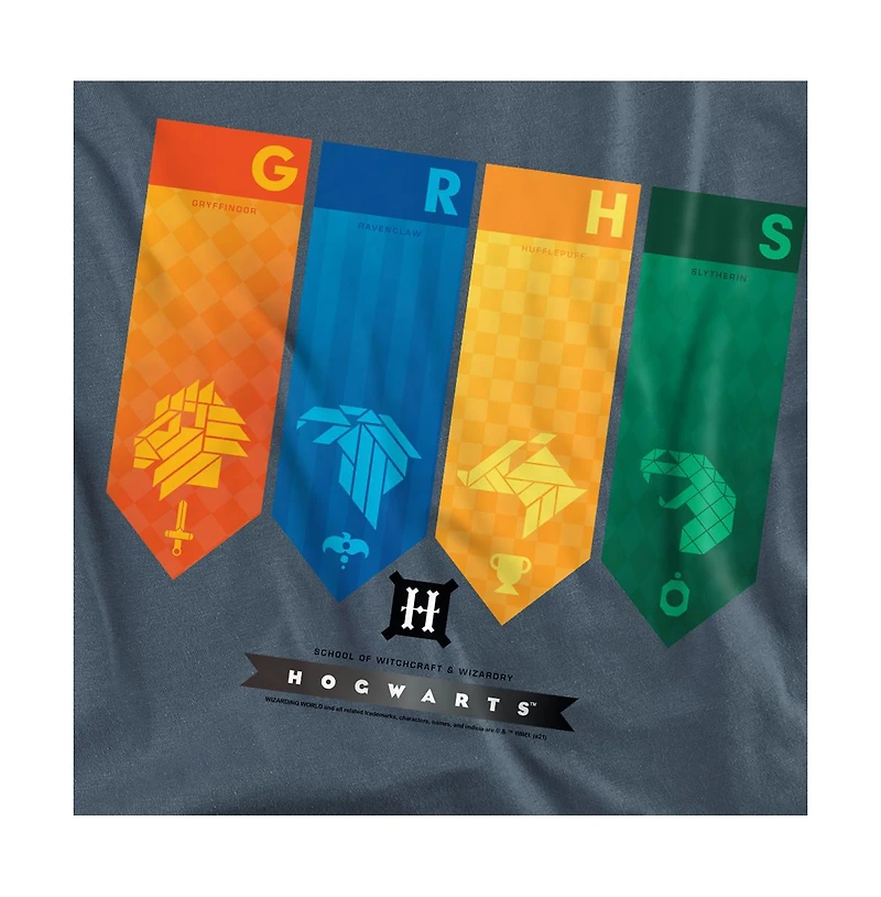 Harry Potter Men's Hogwarts House Color Banners T Shirt