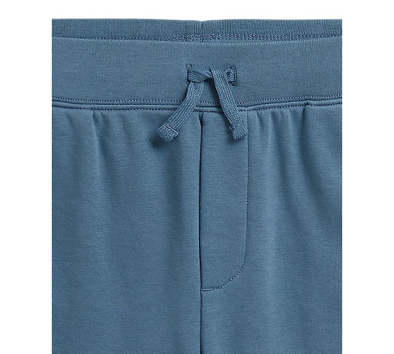 Polo Ralph Lauren Boys' 8-20 Big Pony French Terry Shorts