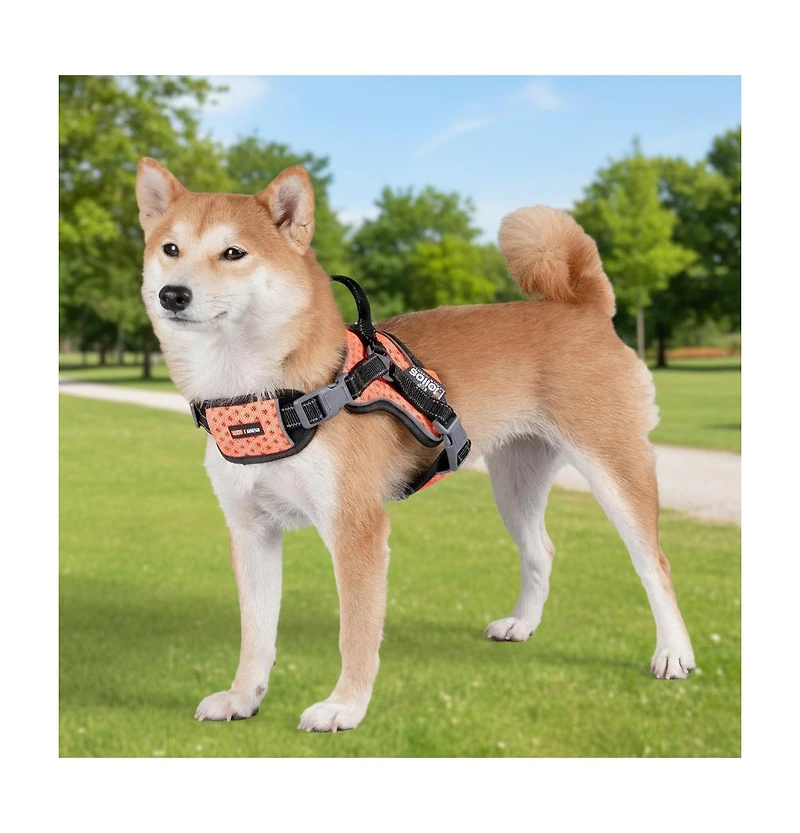 Aostirmotor High-Performance Sport Dog Harness “Helios Scorpion”