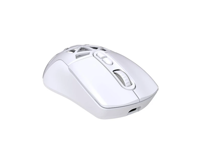 Risokeys Dual-Mode Wireless Gaming Mouse,Rgb Backlit Rechargeable 650mAh,4 Adjustable Dpi 800-4800,Silent Click
