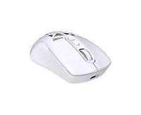 Risokeys Dual-Mode Wireless Gaming Mouse,Rgb Backlit Rechargeable 650mAh,4 Adjustable Dpi 800-4800,Silent Click