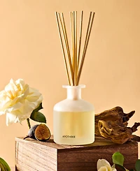 Apotheke Cedarwood Ginger Reed Diffuser, 6.7 oz.
