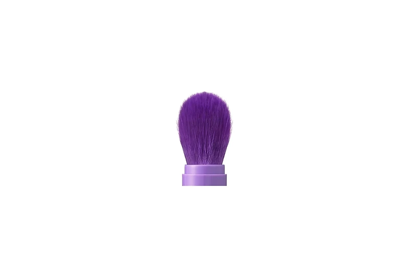 Anna Sui Pocket Brush