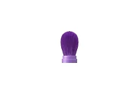 Anna Sui Pocket Brush