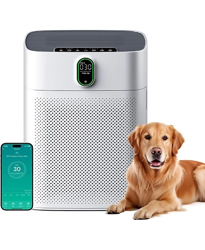 Morento Smart Air Purifier for home Large Rooms up to 1076 ft² Wi-Fi and Alexa compatible PM2.5 Air Quality Display Quiet Mode 24dB Hepa Filter Remove