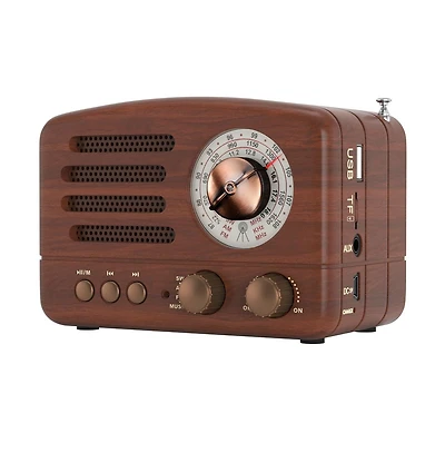 Artudatech Vintage Bluetooth Radio with Am/Fm/Sw Receiver & Usb/Tf Playback for Home & Travel