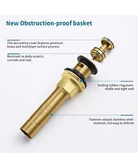 Rainsken Bathroom Sink Drain