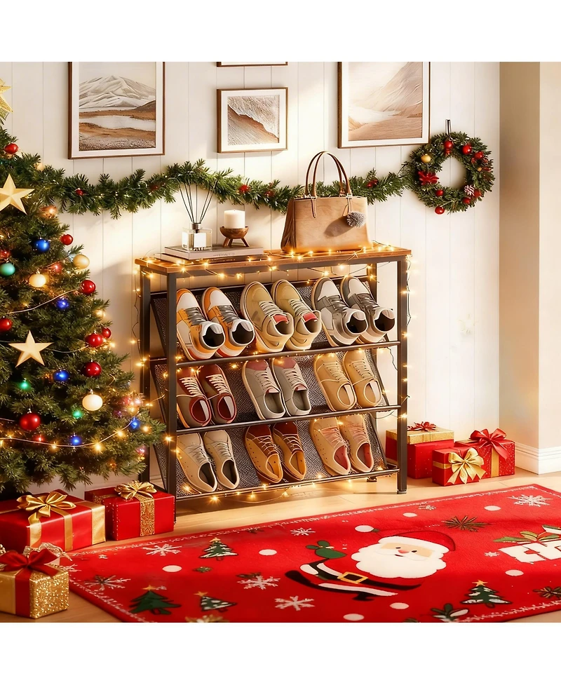 Yigii Slanted Shoe Rack for Small Spaces with Adjustable Feet