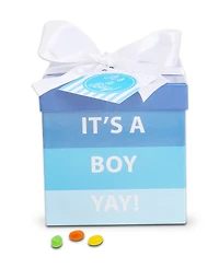 Alder Creek Gift Baskets It's a Boy Baby Gift Box, 4 Pieces
