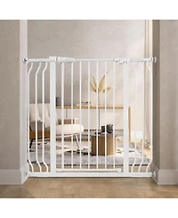 BalanceFrom Fitness Walk Thru Safety Gate