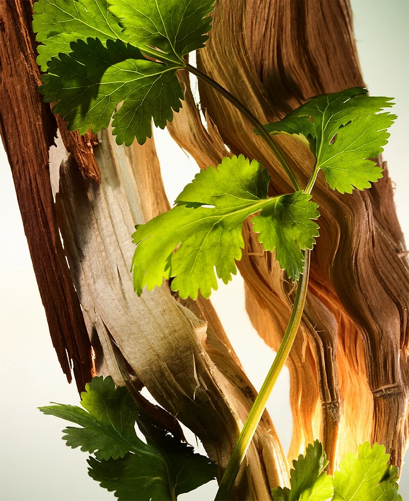 Bvlgari 2-Pc. Man Wood Essence Eau De Parfum Gift Set