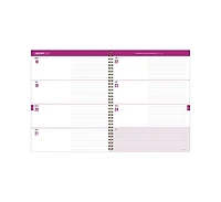 Tf Publishing Paper Goods July 2026 - June 2027 In the Jungle Large Weekly Monthly Planner