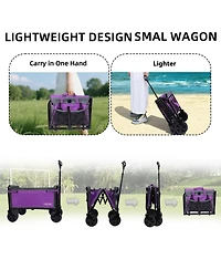 Rainsken Convertible Folding 4-Wheel Wagon Cart