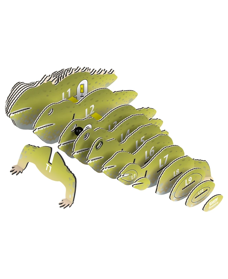 Eugy Tuatara 3D Puzzle