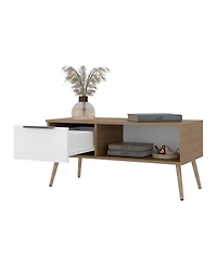 Fm Furniture Scandinavian Style Coffee Table with Storage Drawer and Open Shelf