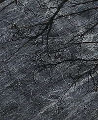 Addison Mayfield AMF2083 5'x7'6" Area Rug