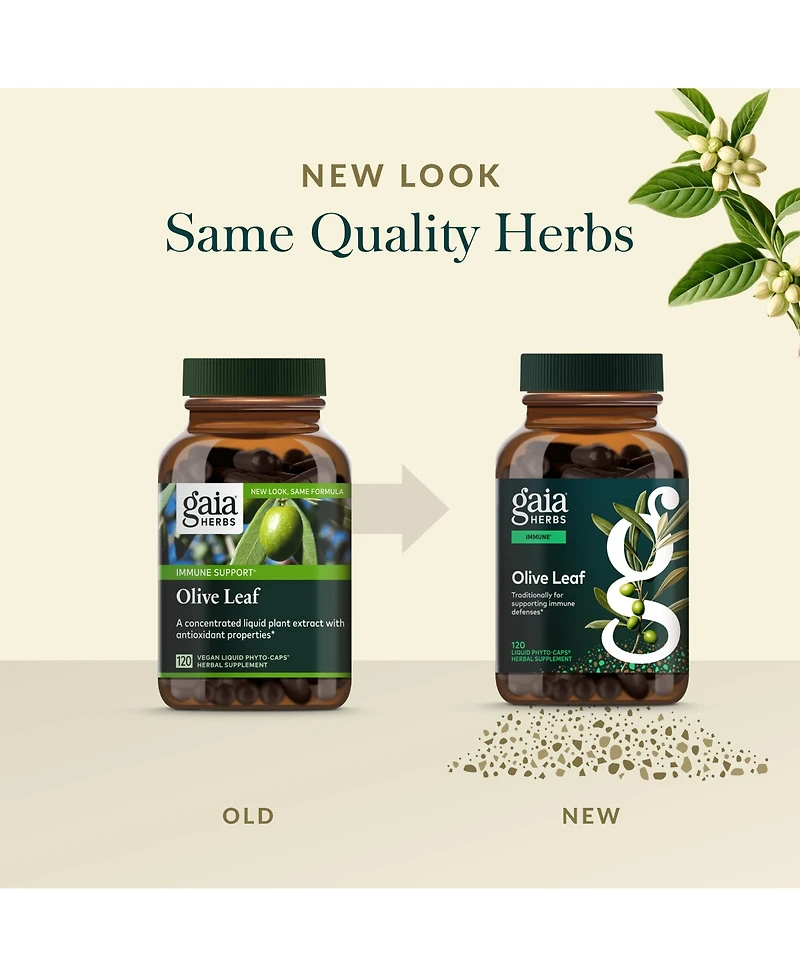 Gaia Herbs Olive Leaf - Traditional Immune Health Support - Immune System Supplement with Olive Leaf Extract and Oleuropein